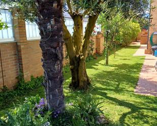 Garden of Flat for sale in Ponferrada  with Air Conditioner, Private garden and Terrace