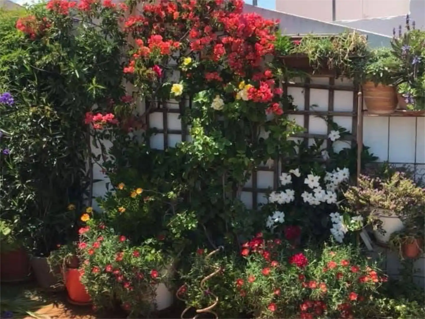 Piso en venta en Carrer de l'Àngel, 6, Pedreguer Jardín de Piso en venta en Pedreguer con Aire acondicionado, Calefacción y Terraza