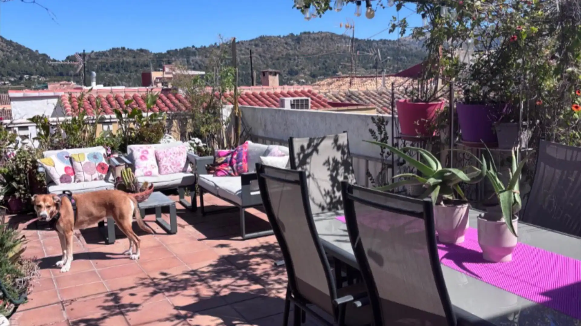 Casa o xalet en venda a Carrer de L'àngel, 6, Pedreguer