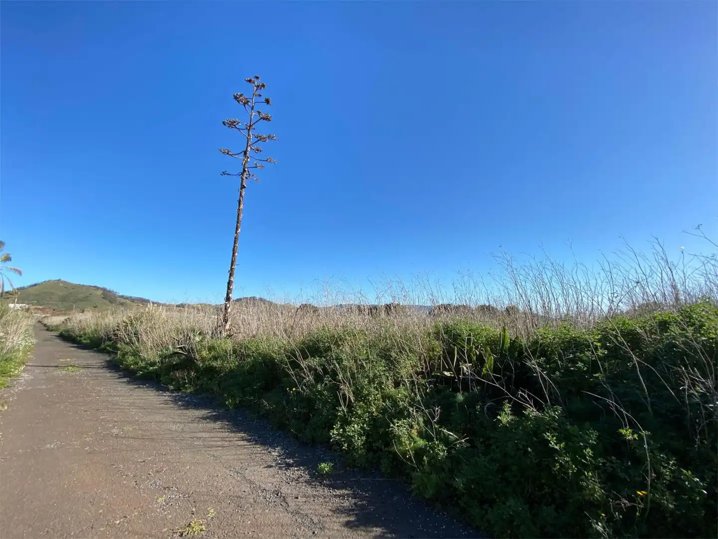 Vista exterior de No Urbanizable en venta en San Cristóbal de la Laguna