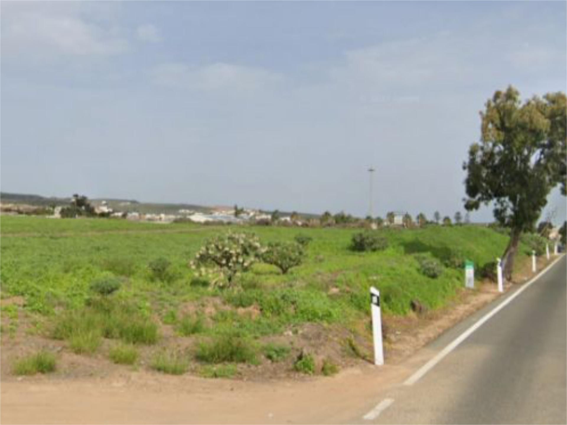 Non-constructible Land for sale in Telde