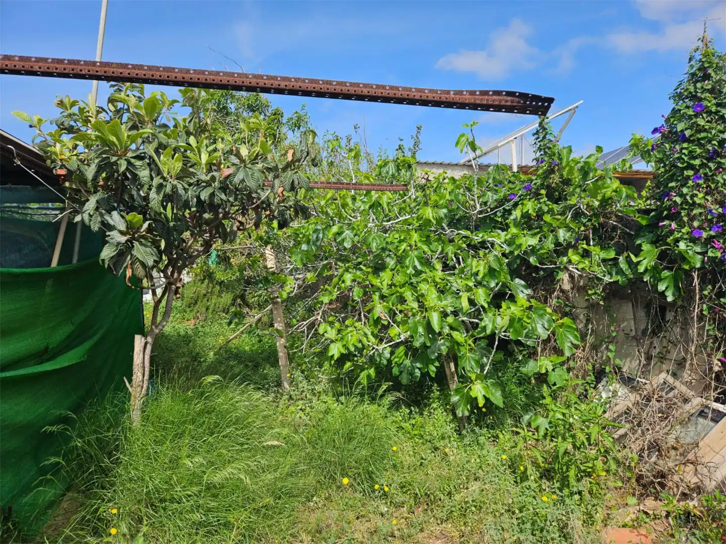 No Urbanitzable en venda a Calle Río Sil, 25, Callejón del Castillo - El Calero - Las Huesas No Urbanitzable en venda en Telde