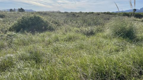 Foto 5 de Terreny en venda a Plaza Mayor, 9, Polinyà de Xúquer, Valencia