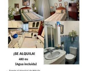 Flat to rent in Oeste Bathroom of Flat to rent in Mérida with Heating, Terrace and Furnished