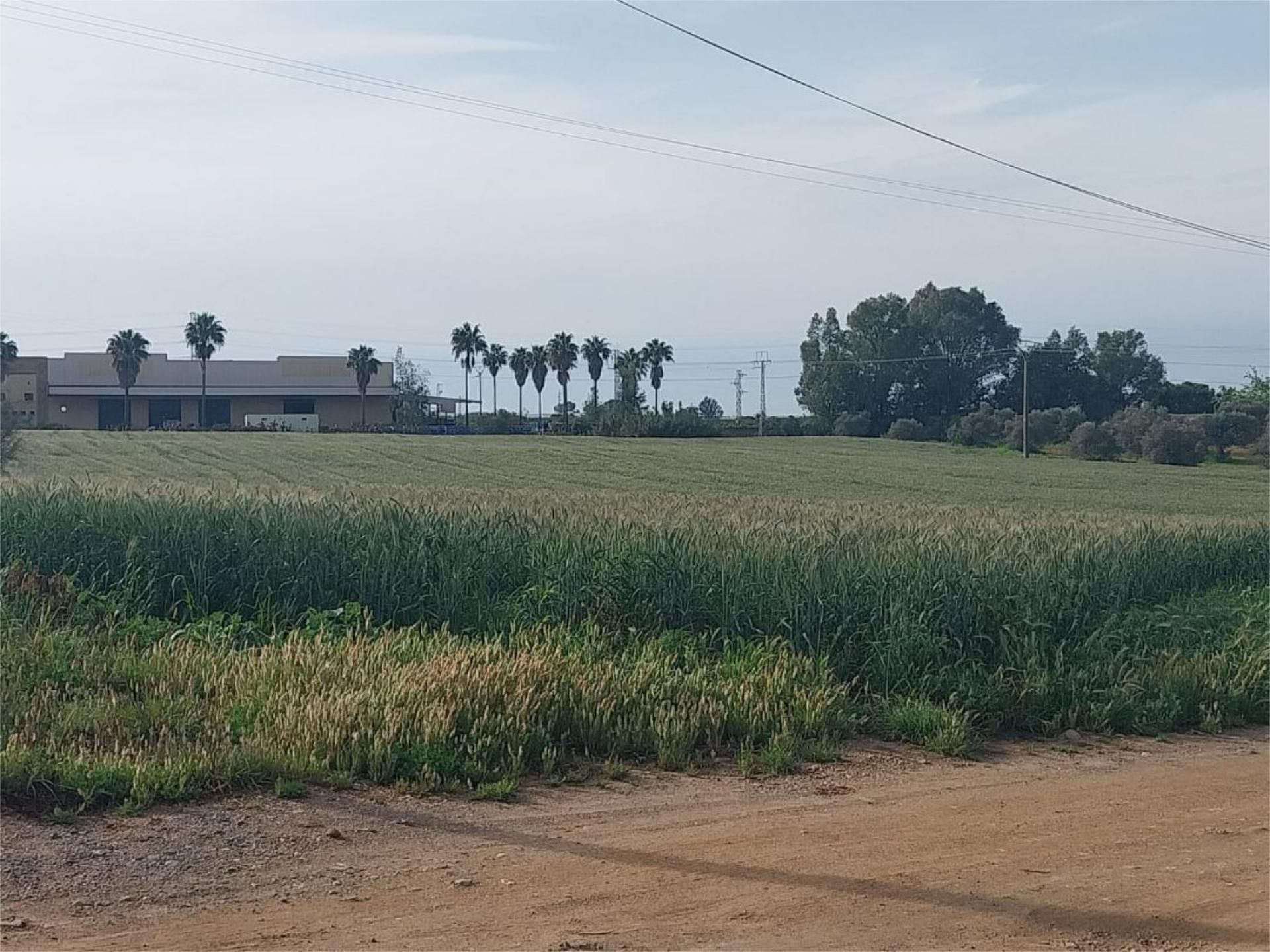Non-constructible Land for sale in  Huelva Capital