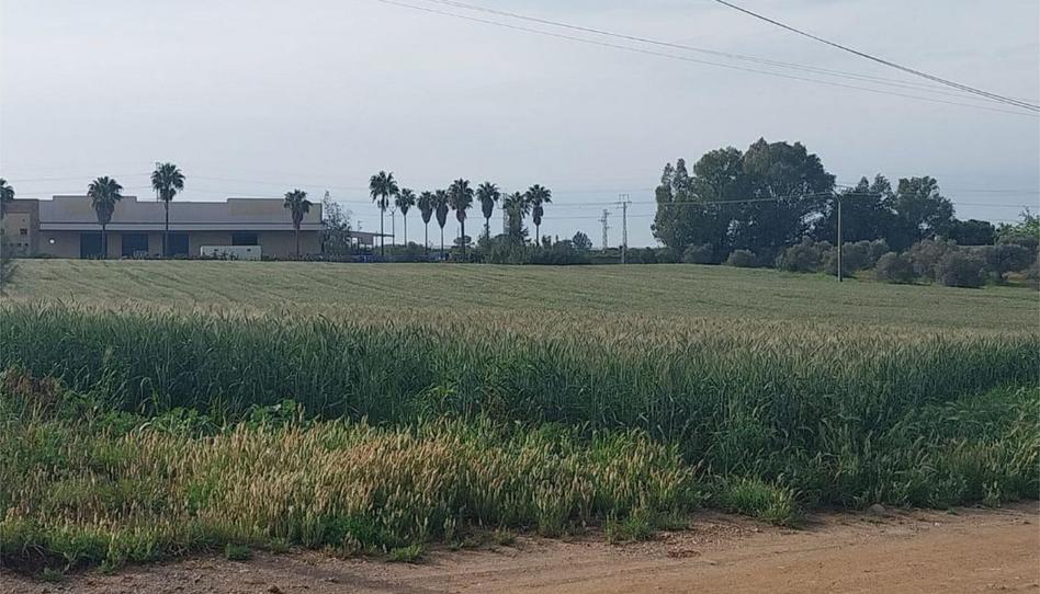Photo 1 of Non-constructible Land for sale in Poligono Industrial Peguerillas, 1, La Orden, Huelva