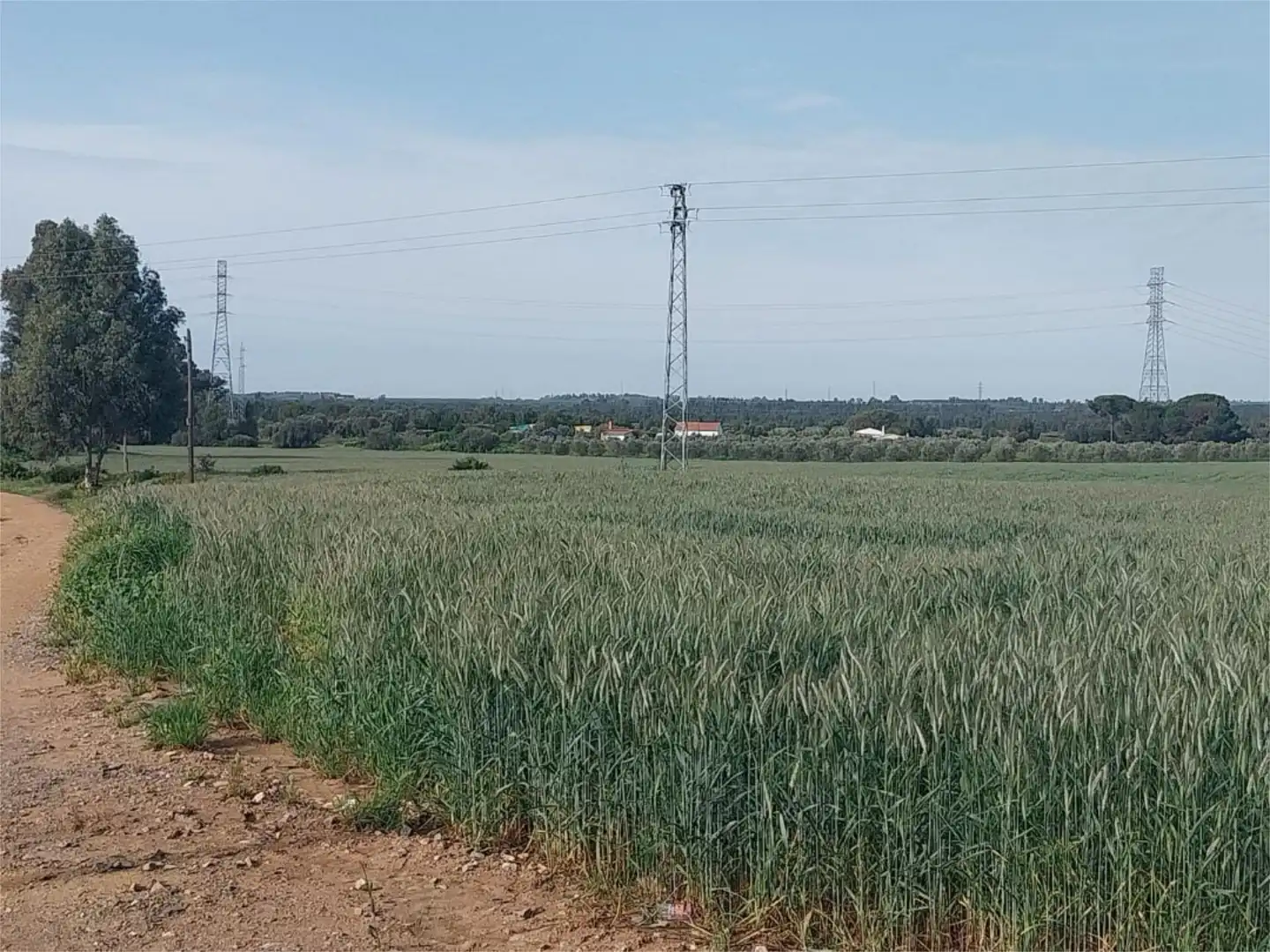 Nicht bebaubares Gelände zum Verkauf in Poligono Industrial Peguerillas, 1, La Orden Nicht bebaubares Gelände zum Verkauf in Huelva