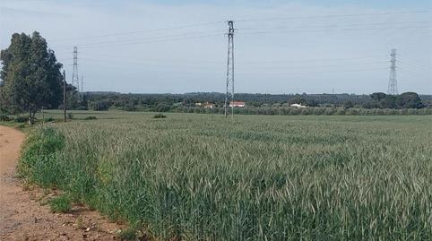 Photo 2 of Non-constructible Land for sale in Poligono Industrial Peguerillas, 1, La Orden, Huelva