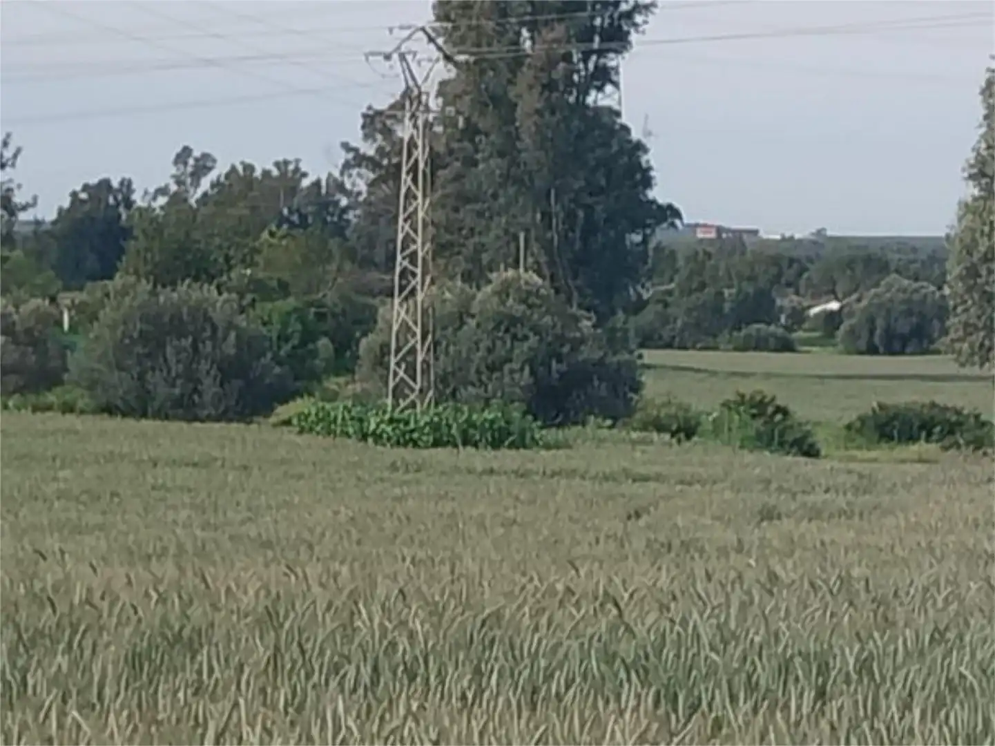 Nicht bebaubares Gelände zum Verkauf in Poligono Industrial Peguerillas, 1, La Orden Nicht bebaubares Gelände zum Verkauf in Huelva