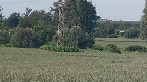 Photo 3 of Non-constructible Land for sale in Poligono Industrial Peguerillas, 1, La Orden, Huelva