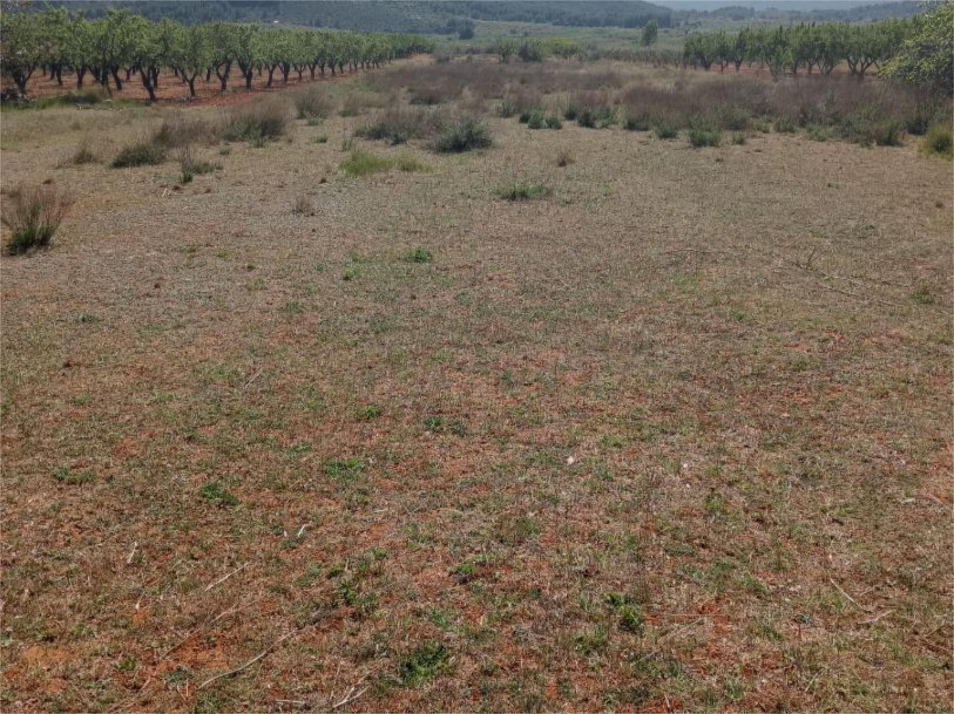 Non-constructible Land for sale in Cabanes