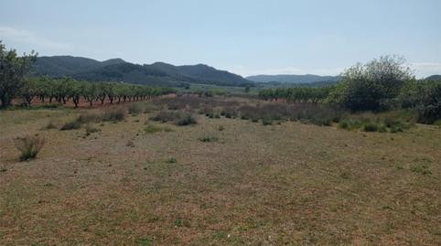 No Urbanitzable en venda a Carrer Calvari, 12, Cabanes, Castellón - imatge 2 Foto 2 de No Urbanitzable en venda a Carrer Calvari, 12, Cabanes, Castellón