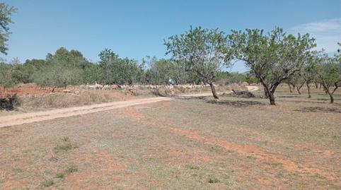 No Urbanitzable en venda a Carrer Calvari, 12, Cabanes, Castellón - imatge 3 Foto 3 de No Urbanitzable en venda a Carrer Calvari, 12, Cabanes, Castellón