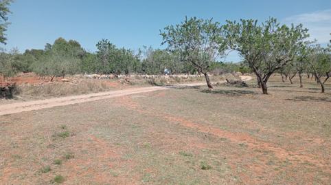 No Urbanitzable en venda a Carrer Calvari, 12, Cabanes, Castellón - imatge 4 Foto 4 de No Urbanitzable en venda a Carrer Calvari, 12, Cabanes, Castellón