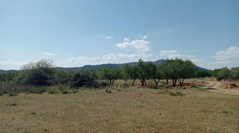 No Urbanitzable en venda a Carrer Calvari, 12, Cabanes, Castellón - imatge 5 Foto 5 de No Urbanitzable en venda a Carrer Calvari, 12, Cabanes, Castellón