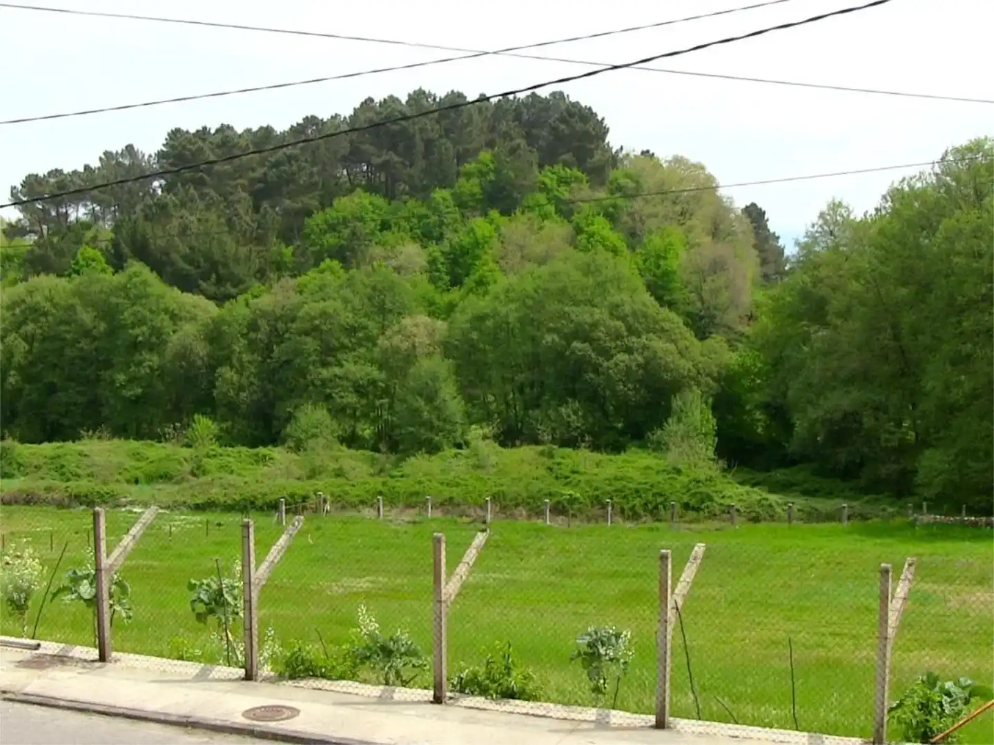 Casa o xalet en venda en Pantón amb Calefacció, Jardí privat i Parquet