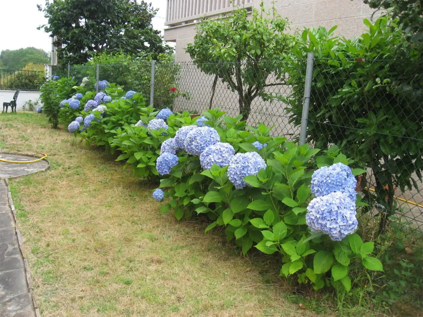 Jardí de Casa o xalet en venda en Pantón amb Calefacció, Jardí privat i Parquet