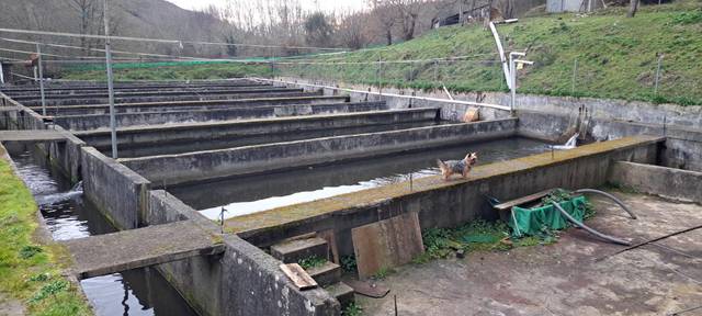 Planta baja en Alquiler en Lugar Lamagrande, 104 en O Saviñao