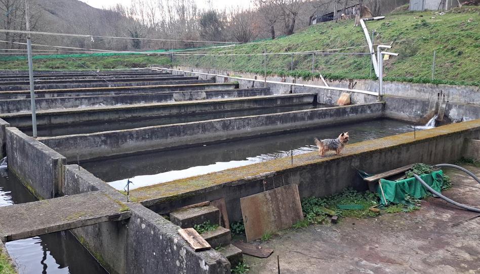 Foto 1 de Planta baixa en venda a Lugar Lamagrande, 104, O Saviñao , Lugo