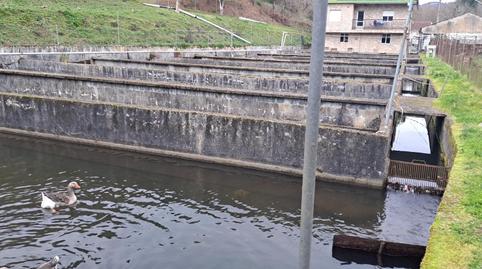 Foto 4 de Planta baixa en venda a Lugar Lamagrande, 104, O Saviñao , Lugo