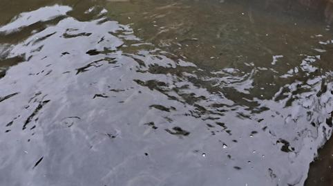 Foto 5 de Planta baixa en venda a Lugar Lamagrande, 104, O Saviñao , Lugo