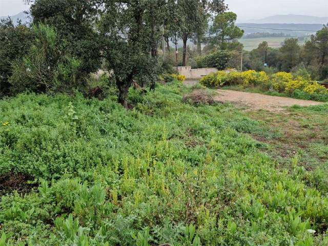 Terreno urbanizable en Venta en Carrer Viella, 45 en Mediona