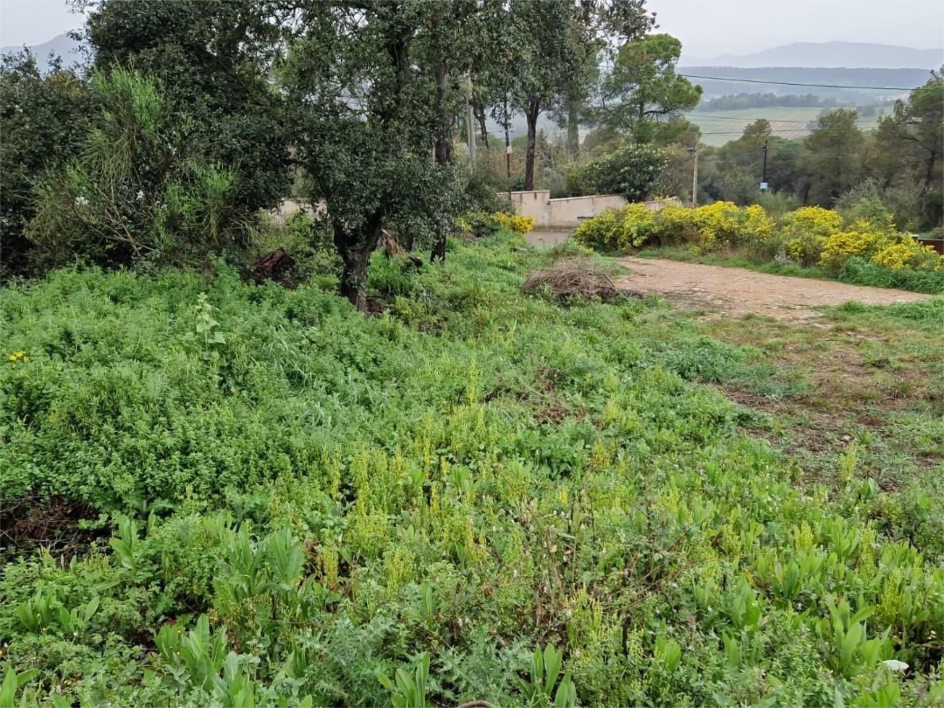 Urbanitzable en venda en Mediona