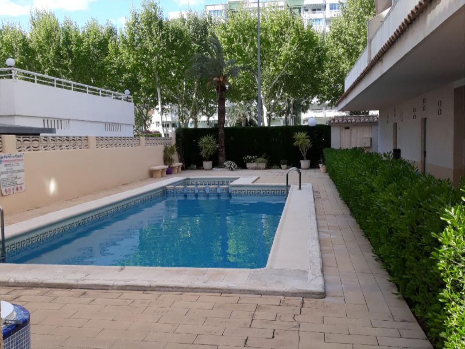 Piscina de Apartament de lloguer en Gandia amb Aire condicionat, Terrassa i Piscina