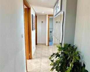 Flat to rent in El Ranero