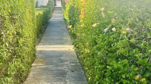 Urbanitzable en venda a Calle Goteborg, 265, Alcorrín, Málaga - imatge 4 Foto 4 de Urbanitzable en venda a Calle Goteborg, 265, Alcorrín, Málaga