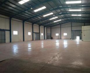 Exterior view of Industrial buildings to rent in Jacarilla