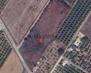 Land for sale in Vinaròs