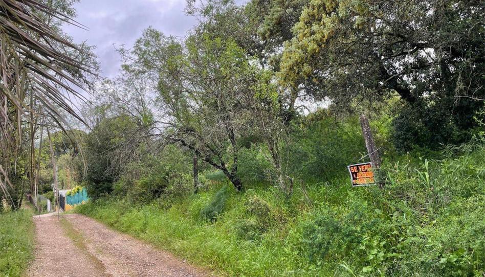 Foto 1 de Urbanitzable en venda a Calle de Los Almendros, 3, Santa Maria de Trassierra, Córdoba