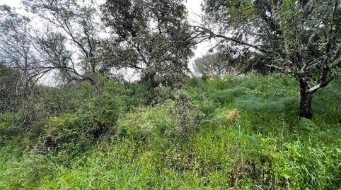 Foto 4 de Urbanitzable en venda a Calle de Los Almendros, 3, Santa Maria de Trassierra, Córdoba