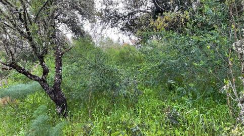 Foto 5 de Urbanitzable en venda a Calle de Los Almendros, 3, Santa Maria de Trassierra, Córdoba