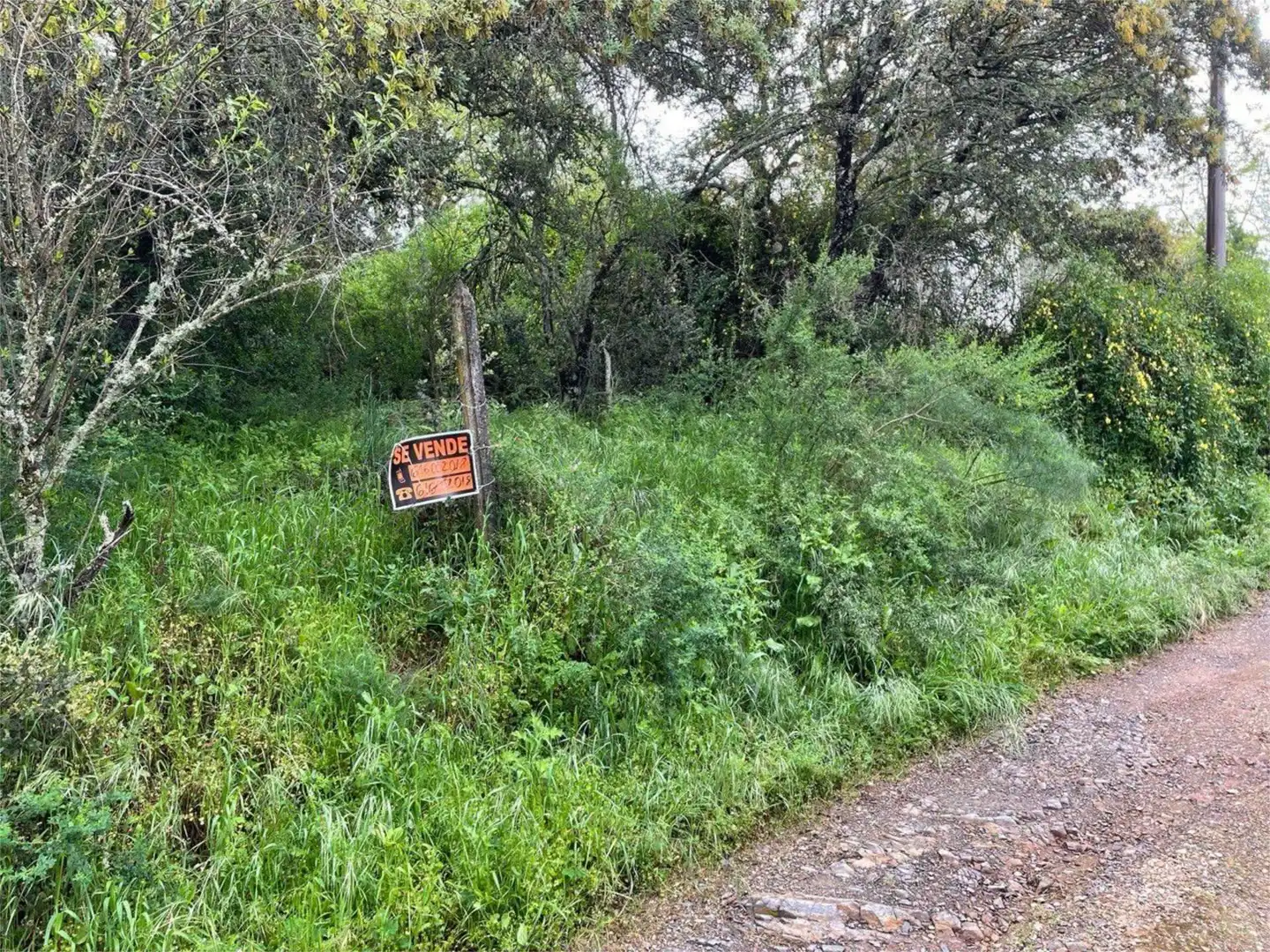 Urbanitzable en venda a Calle de los Almendros, 3, Santa Maria de Trassierra Urbanitzable en venda en Córdoba