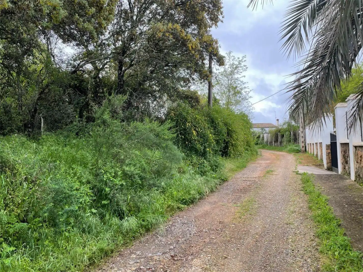Urbanitzable en venda a Calle de los Almendros, 3, Santa Maria de Trassierra Urbanitzable en venda en Córdoba