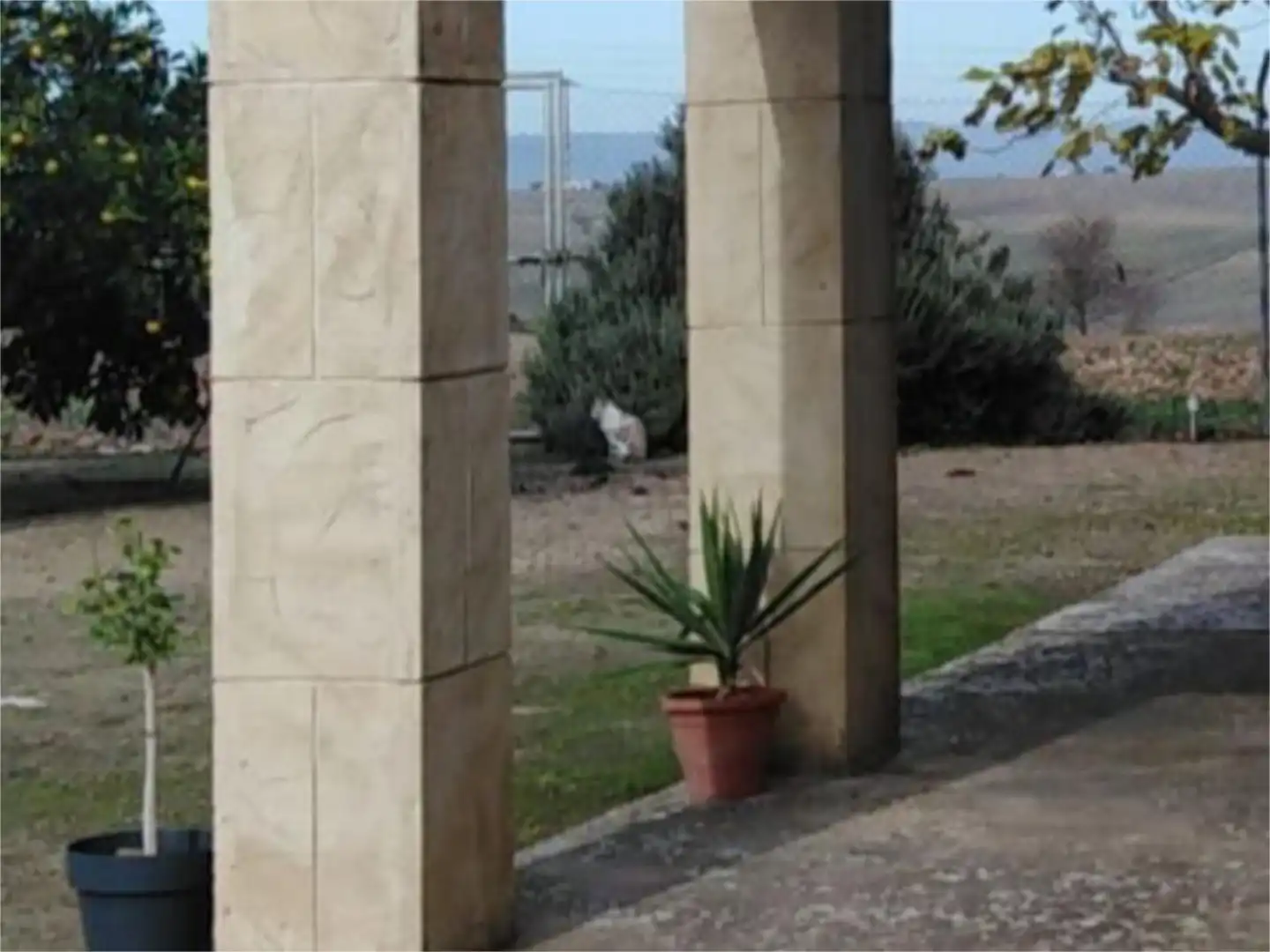 Casa o xalet en venda a Avenida la Victoria, 4, La Carlota Jardí de Casa o xalet en venda en La Carlota amb Jardí privat, Traster i Moblat