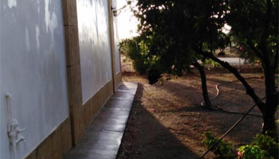 Photo 1 of House or chalet for sale in Avenida la Victoria, 4, La Carlota, Córdoba