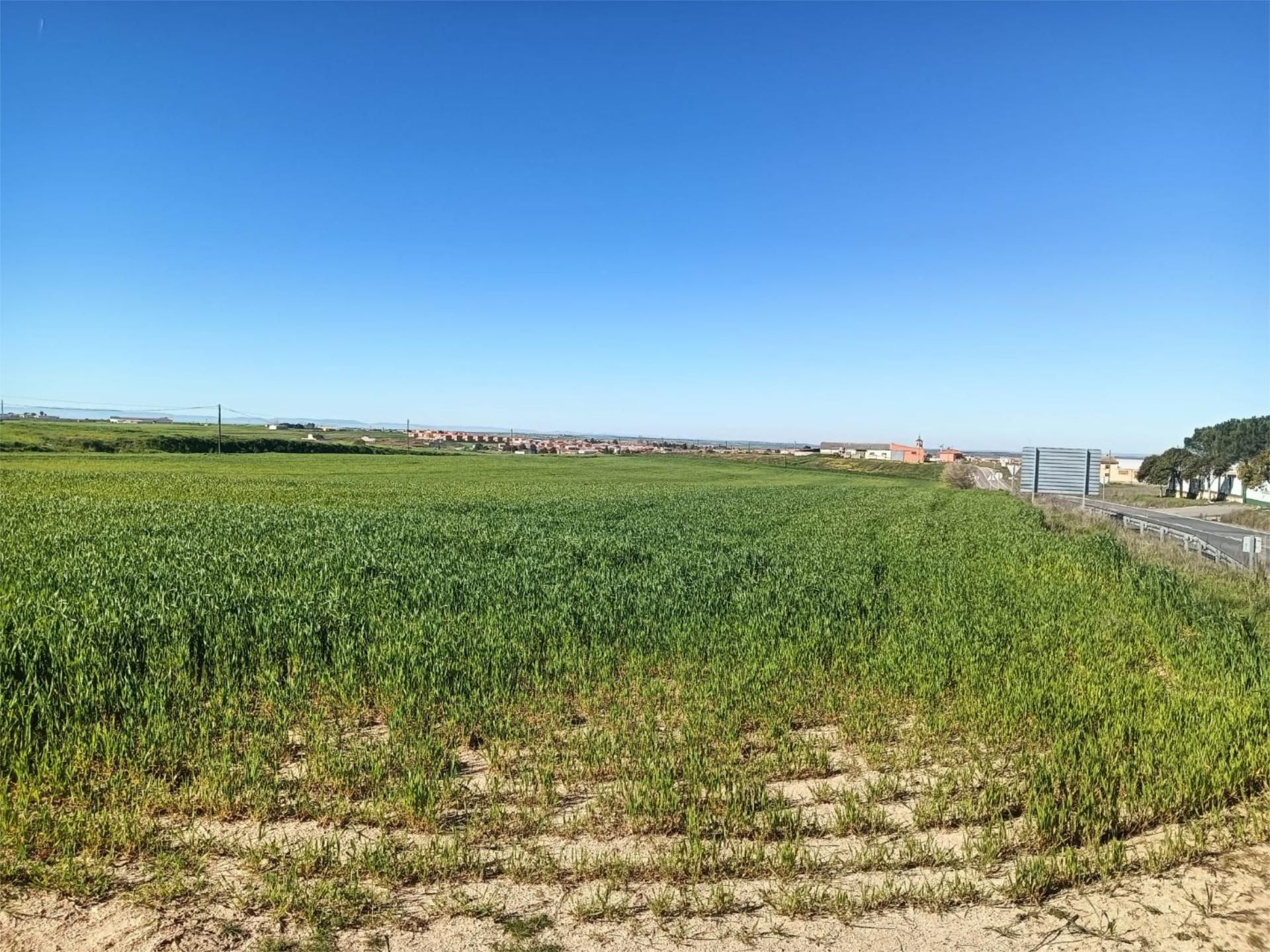 Constructible Land for sale in Novés