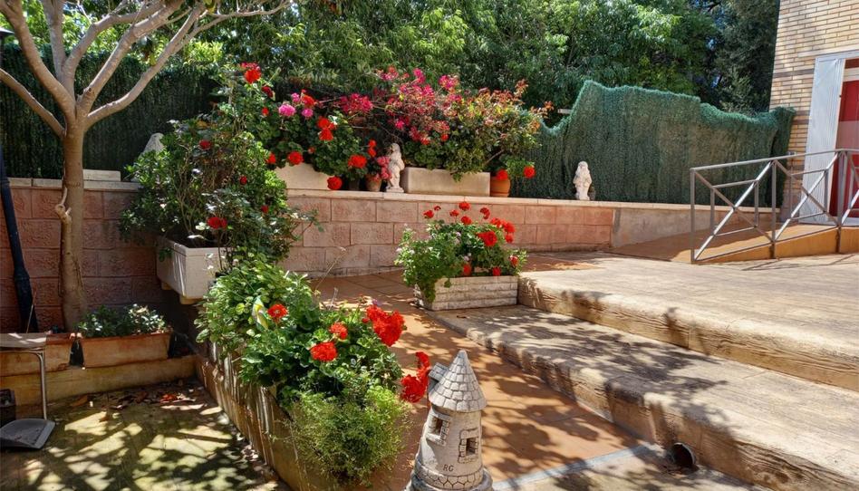 Photo 1 of Planta baja to rent in Carrer Brasil, 15, Segur de Calafell, Tarragona