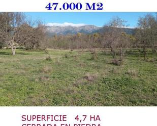 Land for sale in Casavieja