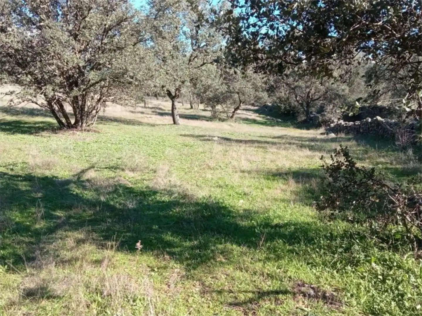 Land for sale in Calle Iglesia, 59, Casavieja Land for sale in Casavieja