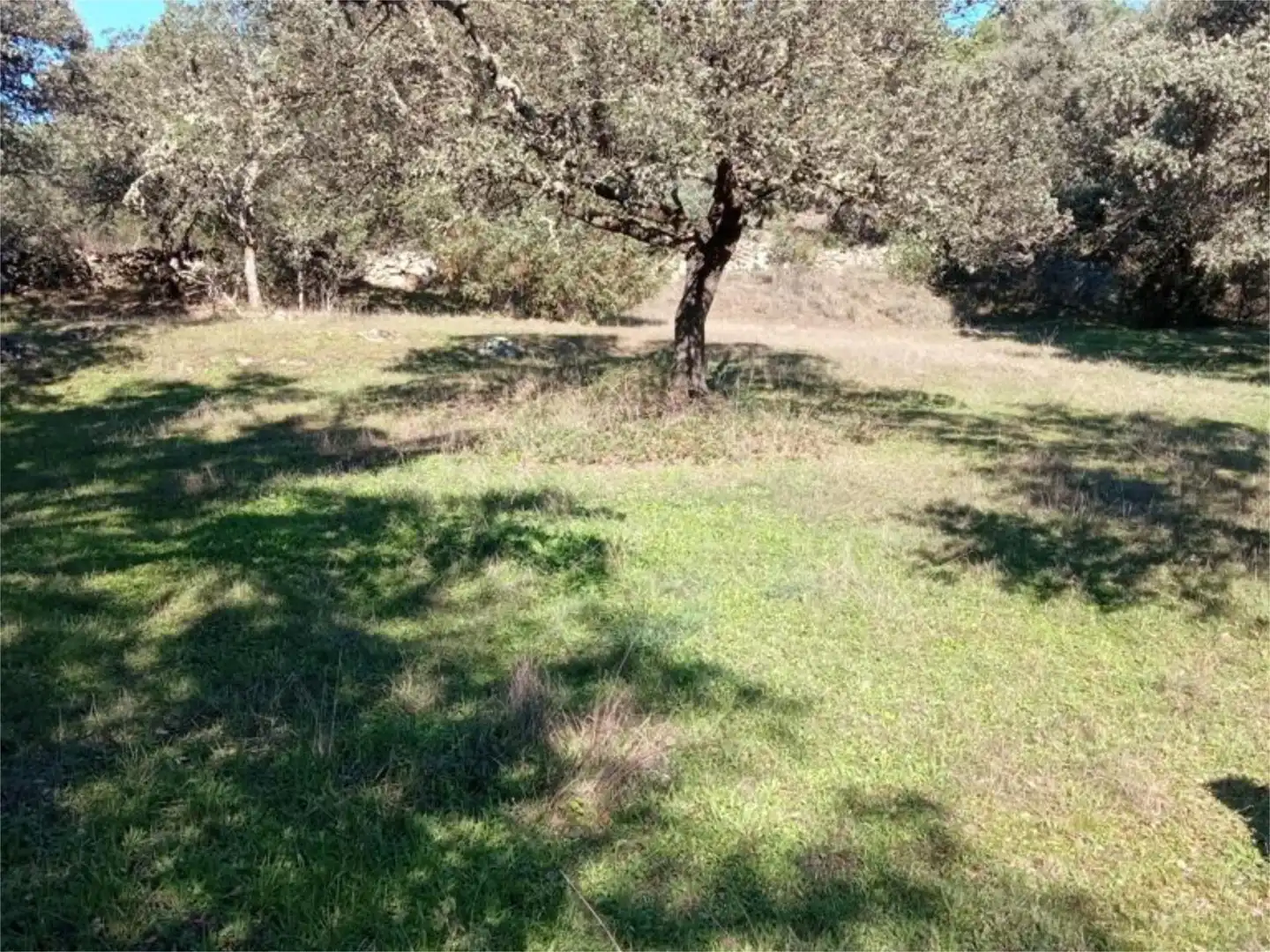 Land for sale in Calle Iglesia, 59, Casavieja Land for sale in Casavieja
