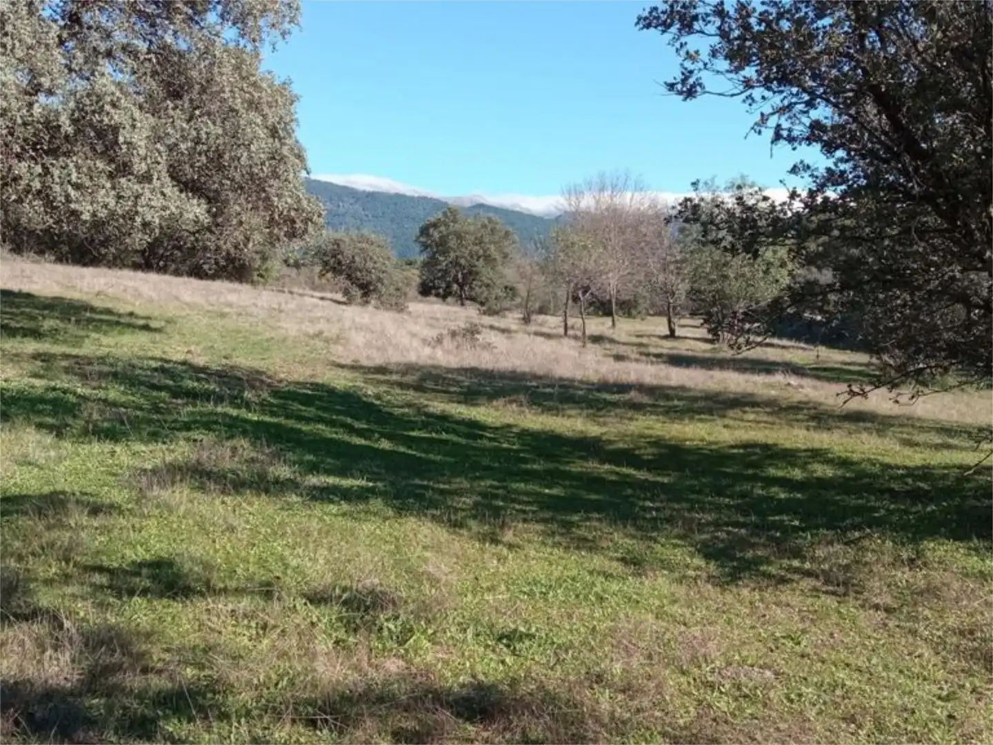 Land for sale in Calle Iglesia, 59, Casavieja Land for sale in Casavieja