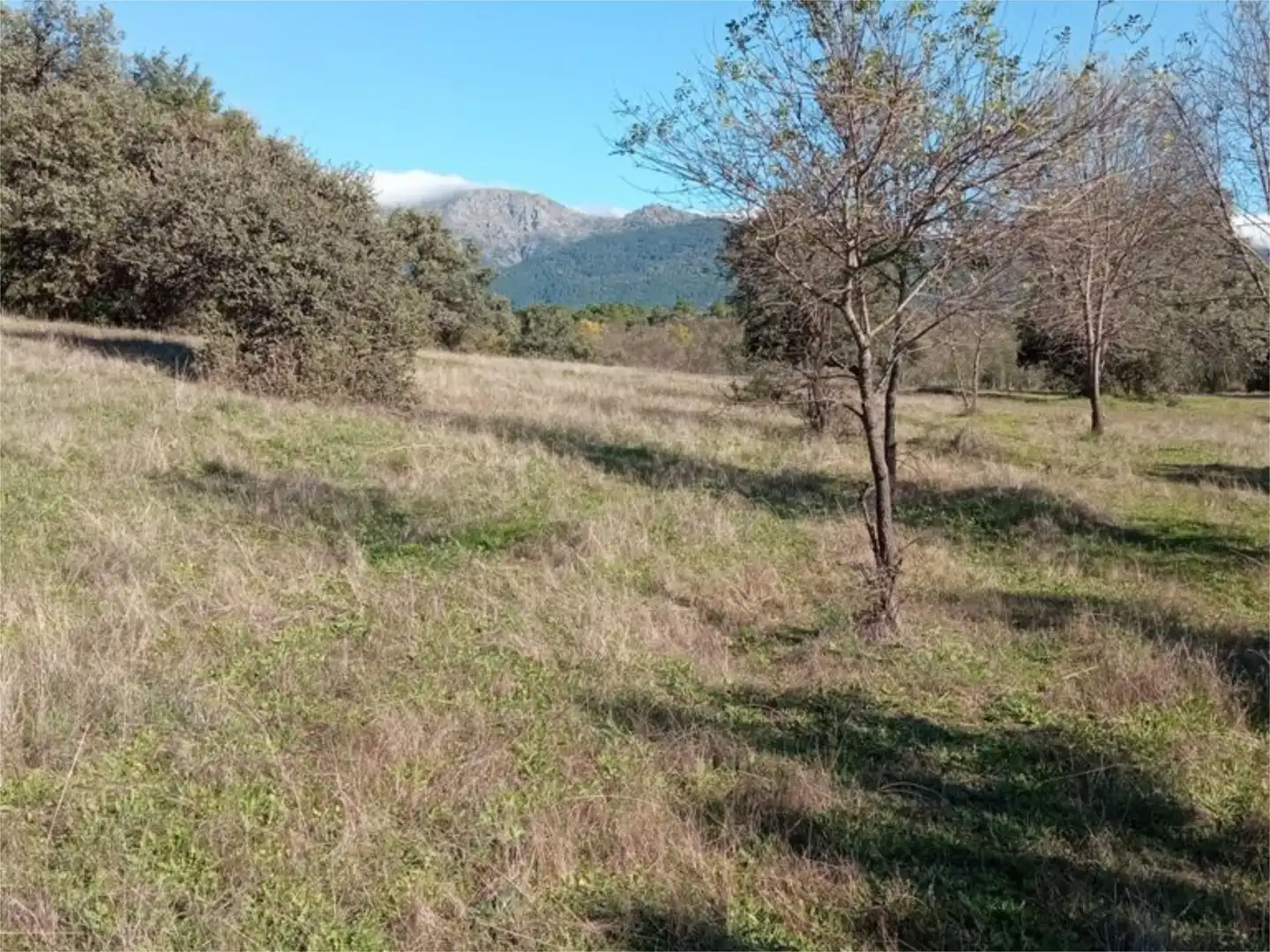 Land for sale in Calle Iglesia, 59, Casavieja Land for sale in Casavieja