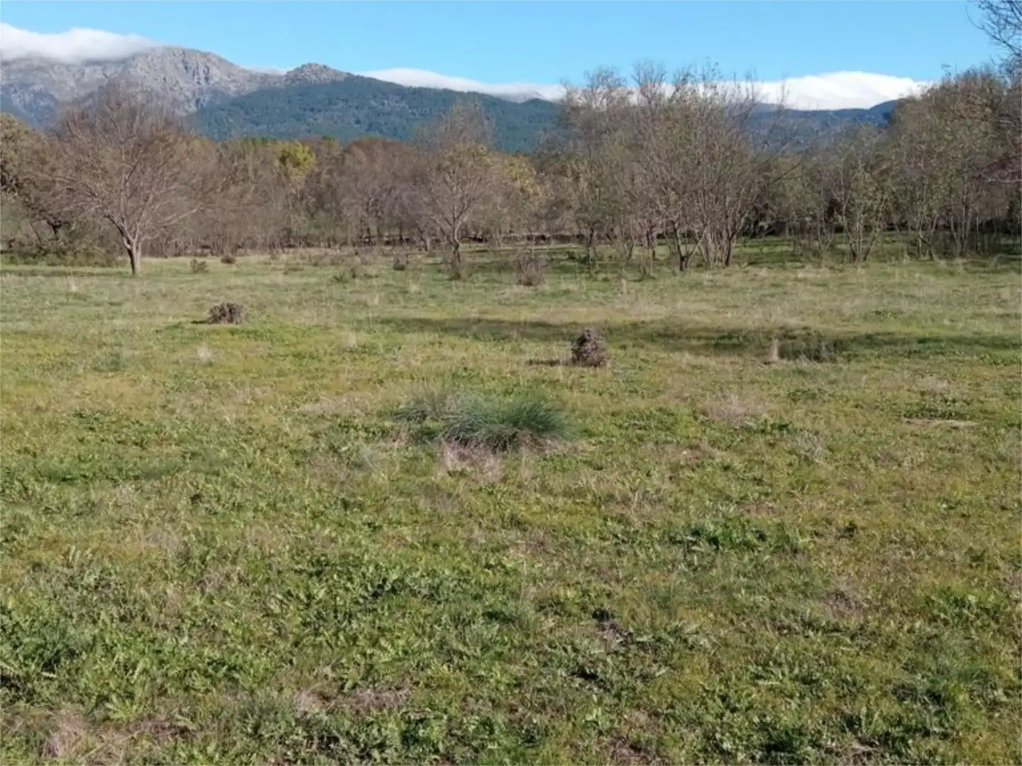 Land for sale in Calle Iglesia, 59, Casavieja Land for sale in Casavieja