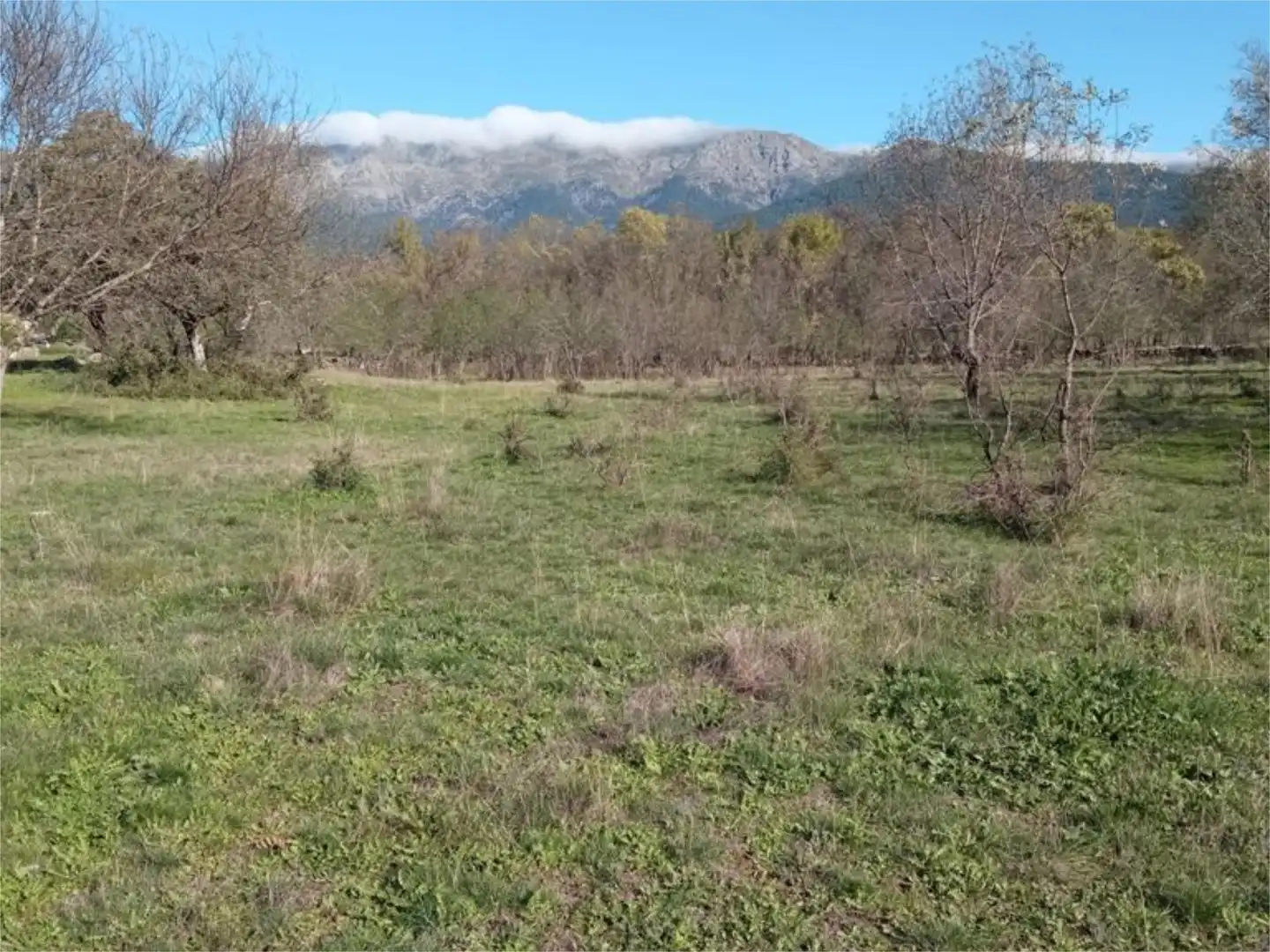 Land for sale in Calle Iglesia, 59, Casavieja Land for sale in Casavieja