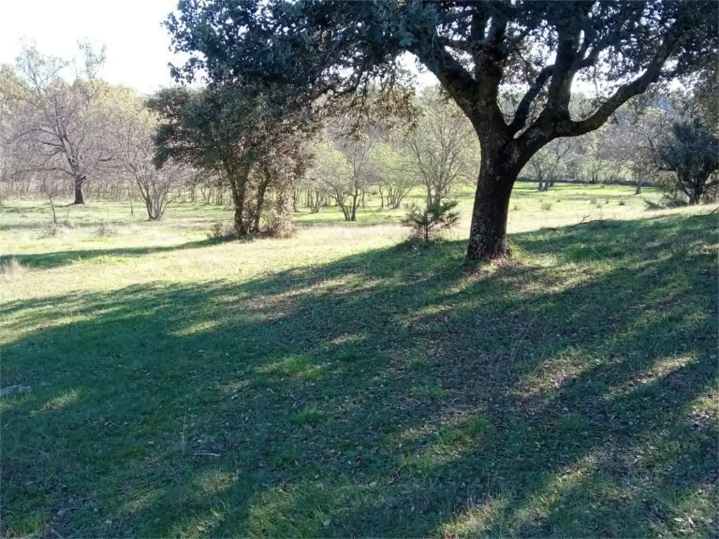 Land for sale in Calle Iglesia, 59, Casavieja Land for sale in Casavieja