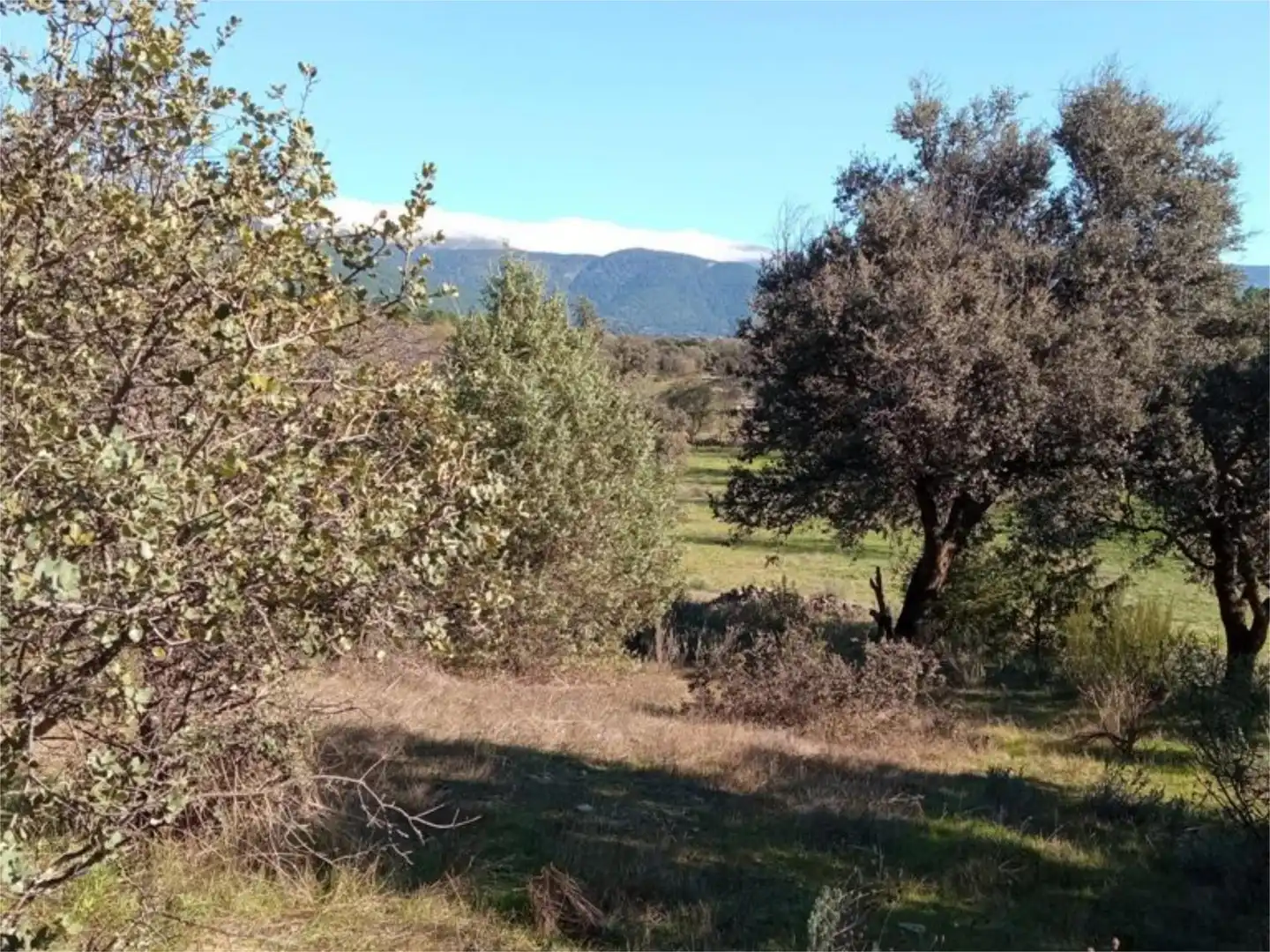Land for sale in Calle Iglesia, 59, Casavieja Land for sale in Casavieja